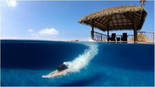 观察 | 万众瞩目！《弹弹岛2》海岛计划开启，岛主资格唾手可得