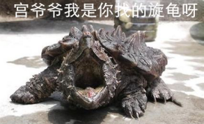 88岁老顽童用《山海经》改变了西方看法